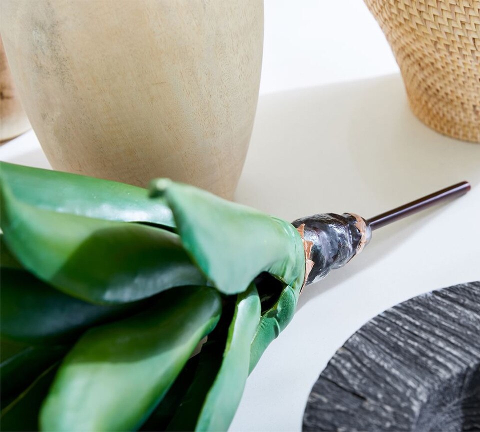 Faux Agave Head Stem Pottery Barn Australia